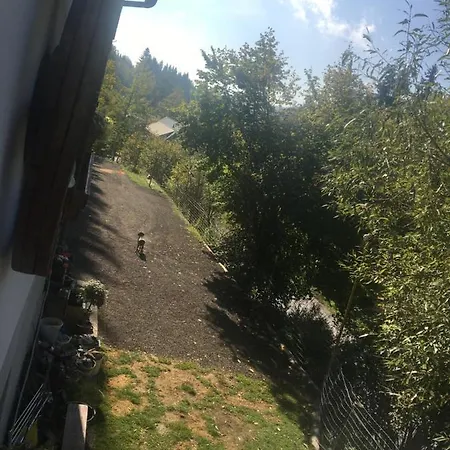 Peterl Appartamento Krieglach