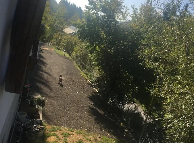 Peterl Apartamento Krieglach